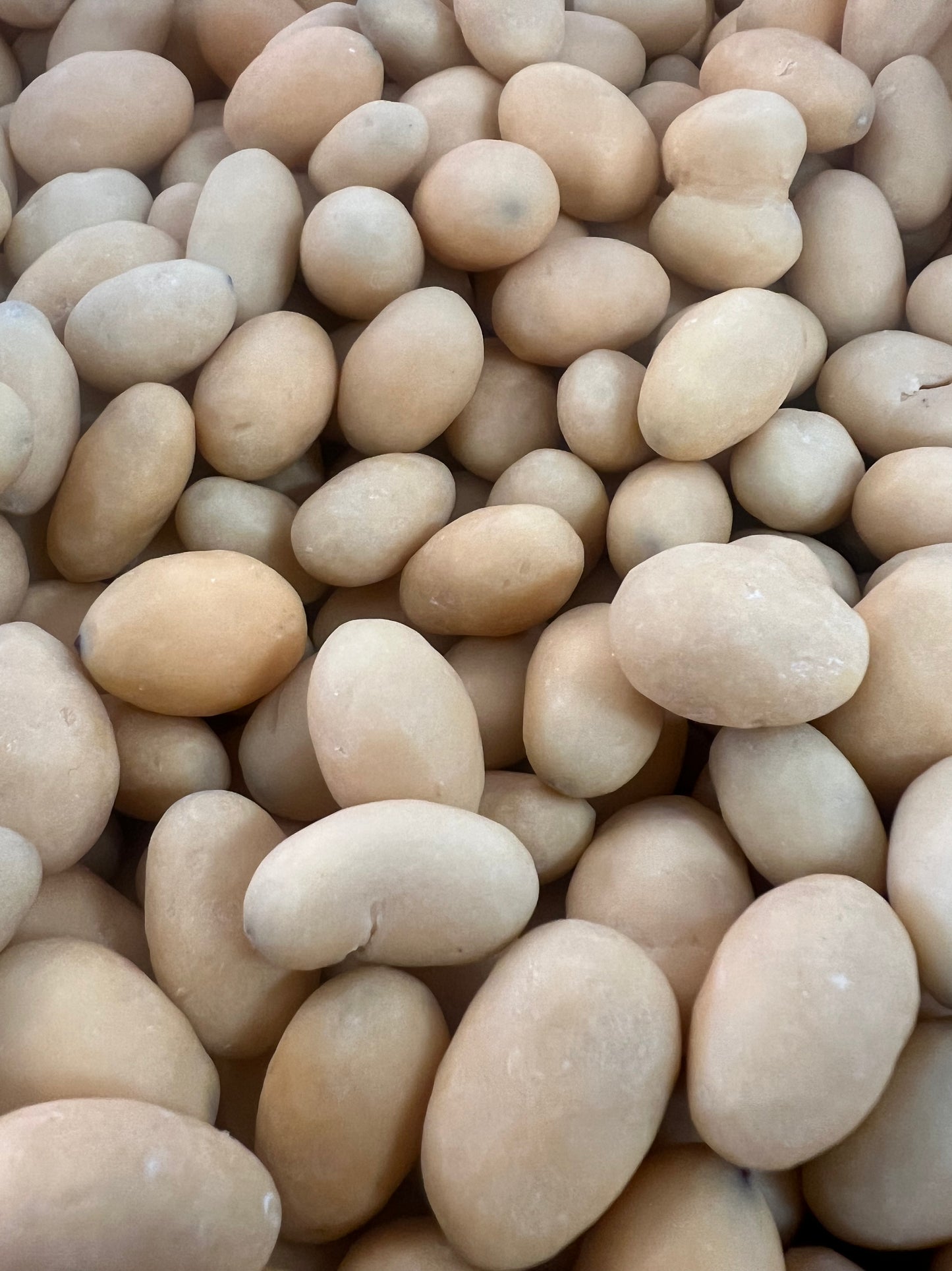 ORANGE DREAM ALMONDS BULK