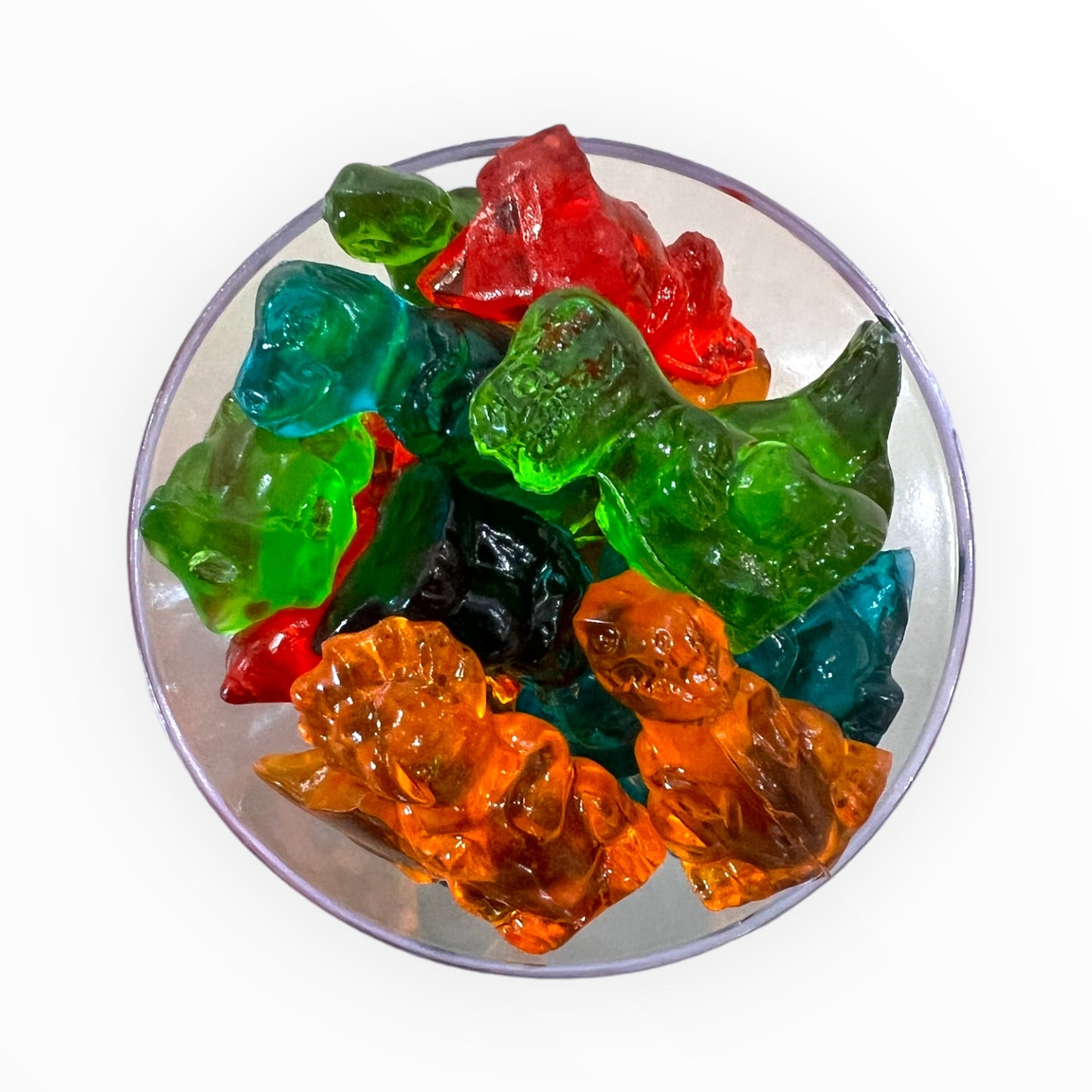 4D GUMMY DINOSAURS BULK